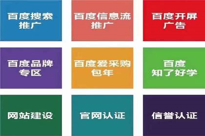 搜索引擎营销（SEM）的精准投放技巧案例